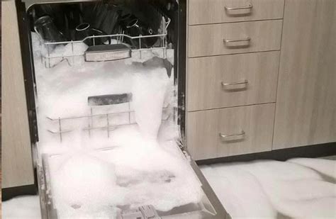 dishwasher overflow leaking|Dishwasher overflowing: Common Causes & Solutions